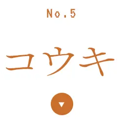 ユウキ
